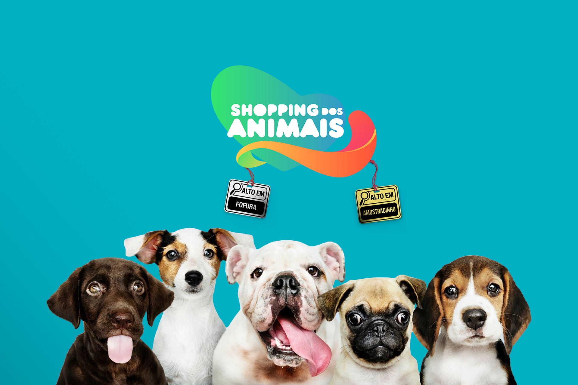 Imagem de cabeçalho